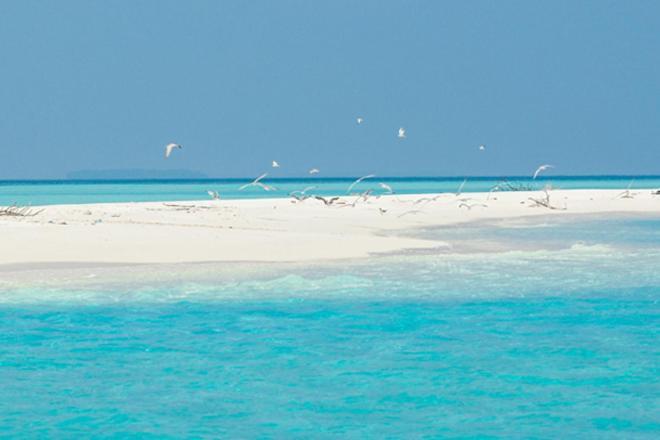Unwind Dhigurah Hotel Дхигура Екстериор снимка